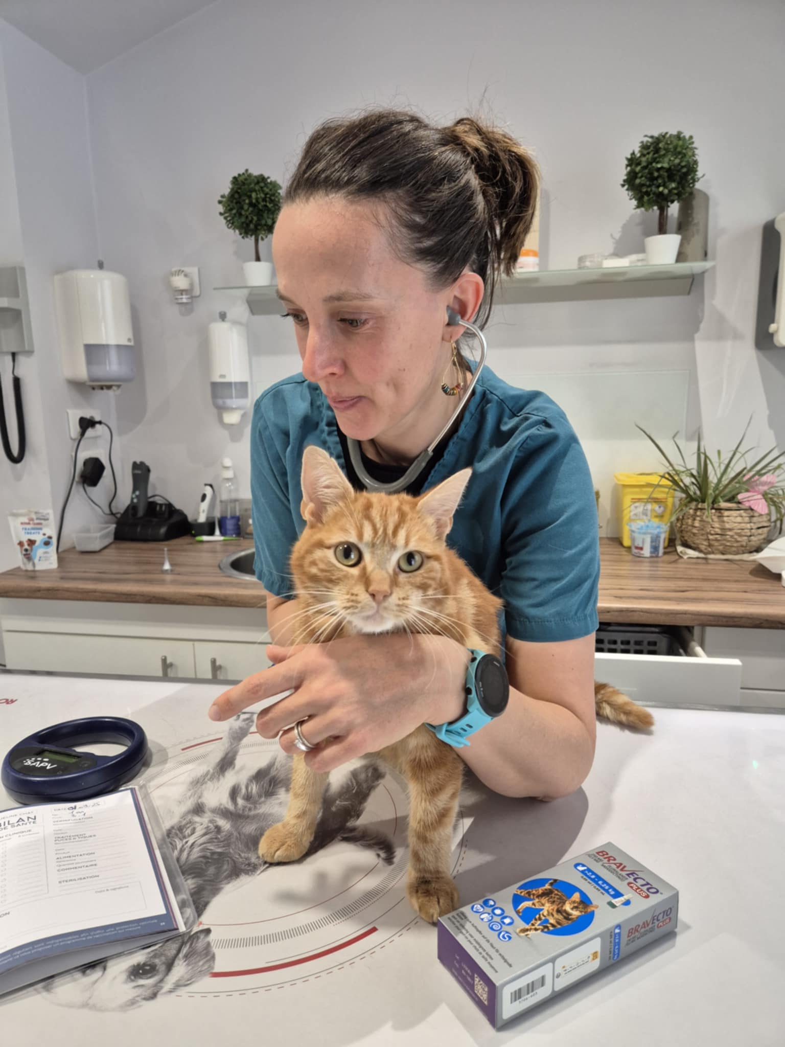 541129400_1363671652425743_4239760578631379518_n